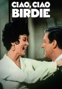 Ciao ciao Birdie