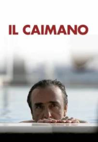 Il caimano