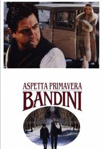 Aspetta primavera, Bandini