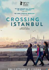 Crossing Istanbul
