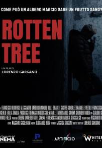 Rotten Tree
